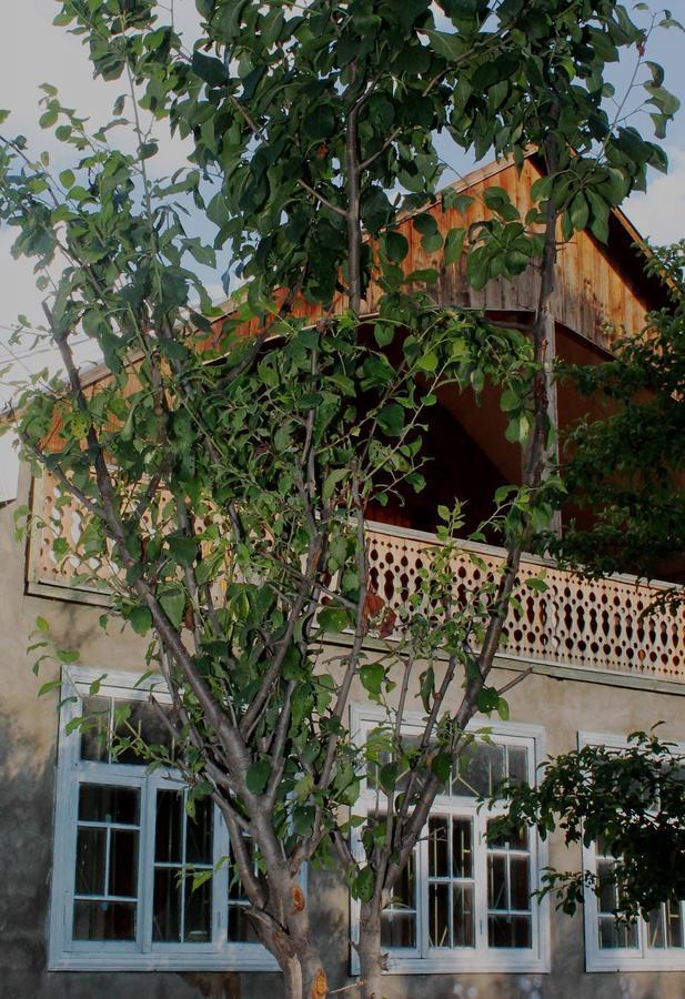 Hostel The Misty Mountains Mestia Exterior foto